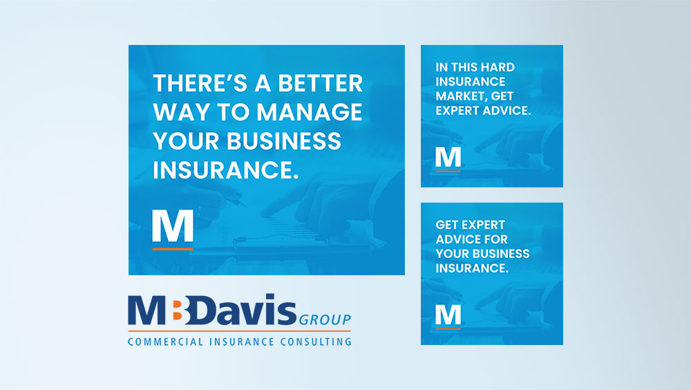 Google Display Ads - Insurance Consultant