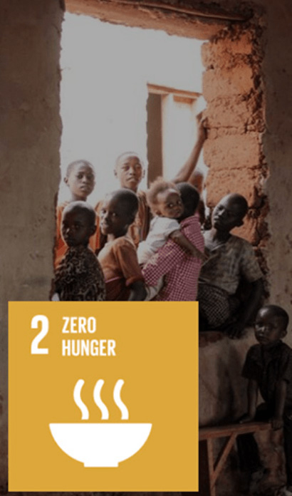 End hunger, achieve food security and improved nutrition