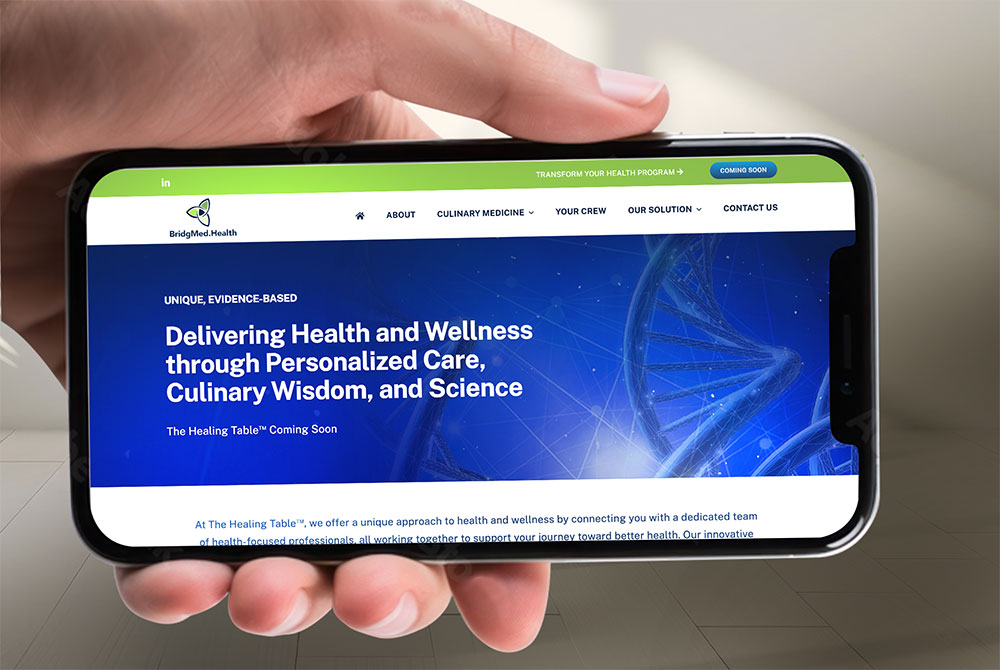 BMH-Slide05 BridgMed Health