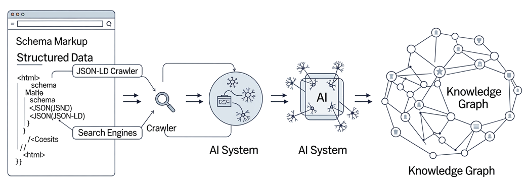 Schema Markup